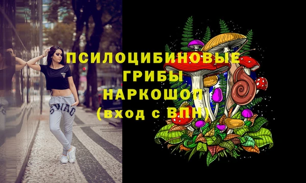 гидра Алексин